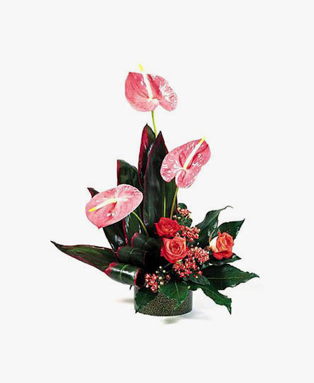 Tropical with Anthurium