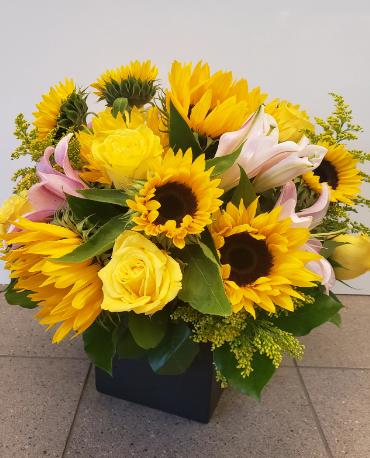 Sunflowers Feast