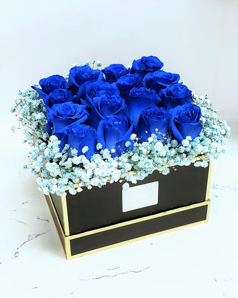 Sapphire Box