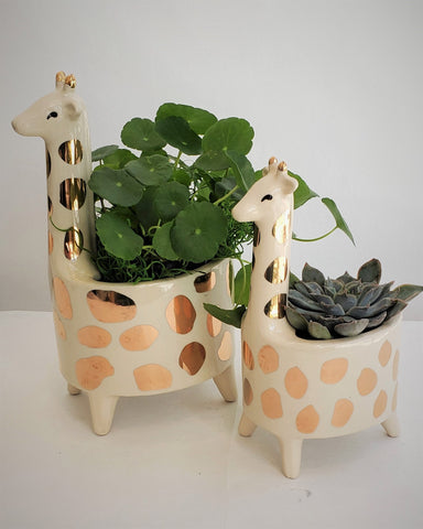 Giraffe Garden