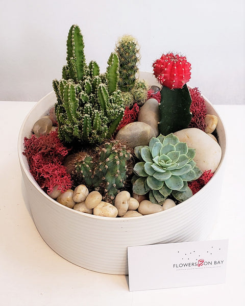 Cactus Garden