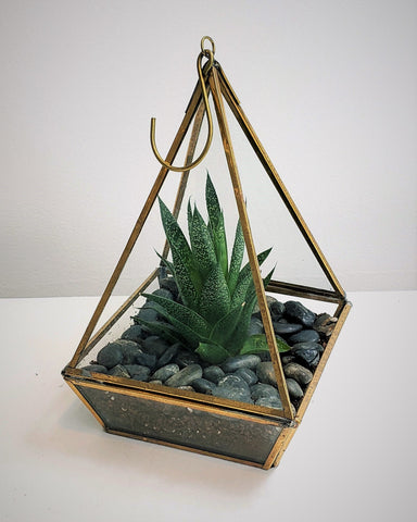 Succulent Prism