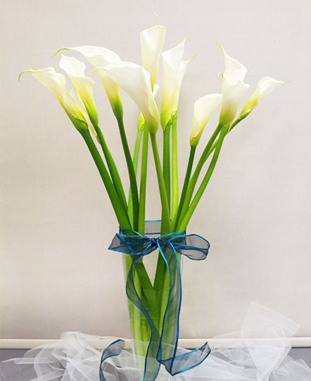 Sense of White