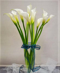 Sense of White