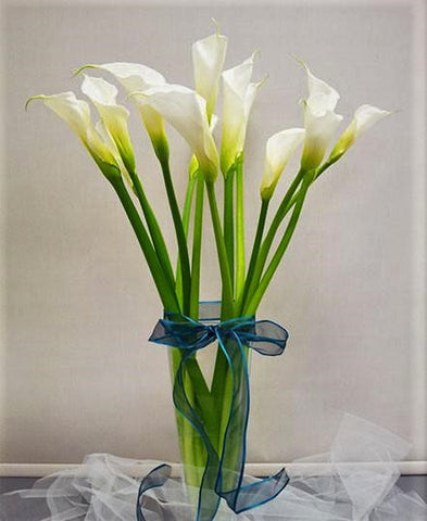 Sense of White