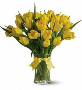 Sunny Yellow Tulip