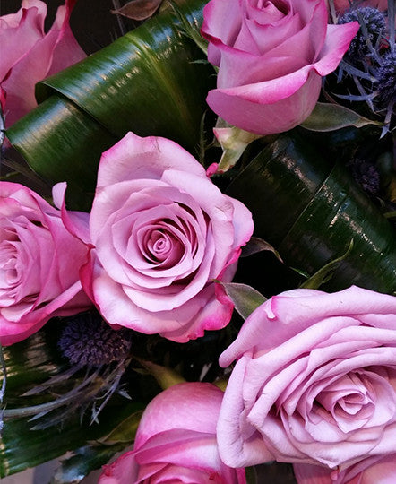 Premium Lavender Rose