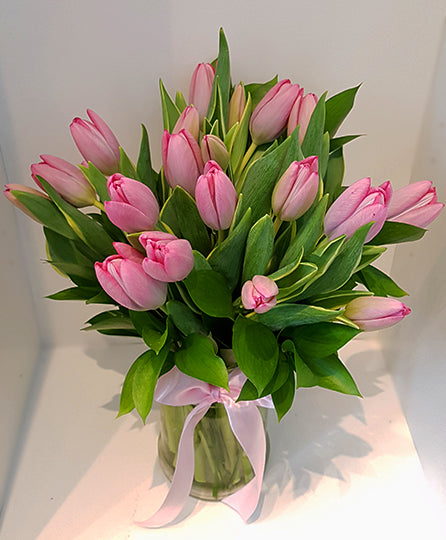Precious Pink Tulip