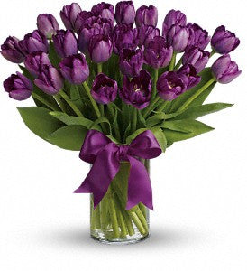Passionate Purple Tulip