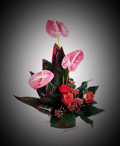 Tropical with Anthurium