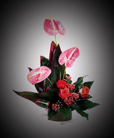 Tropical with Anthurium