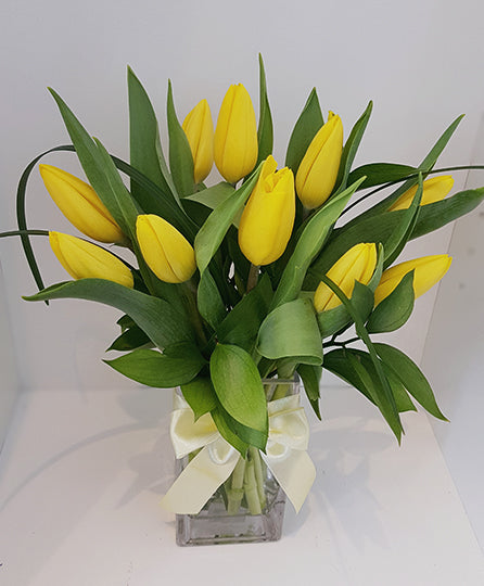 Sunny Yellow Tulip