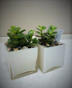 Table Jade